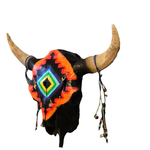 Crâne de bison noir