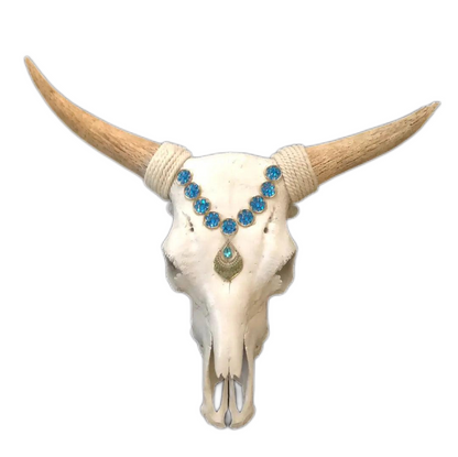 Crâne de vache orné de bijoux