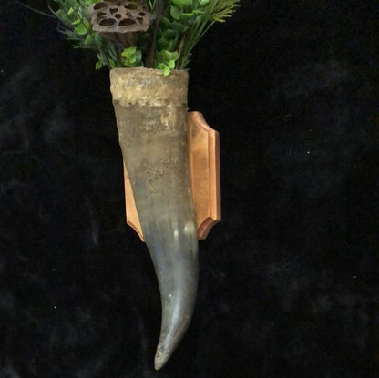 Cows horn with prairie fauna Rusted Rustics